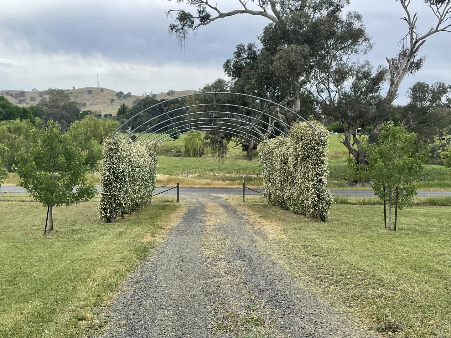 Image 12