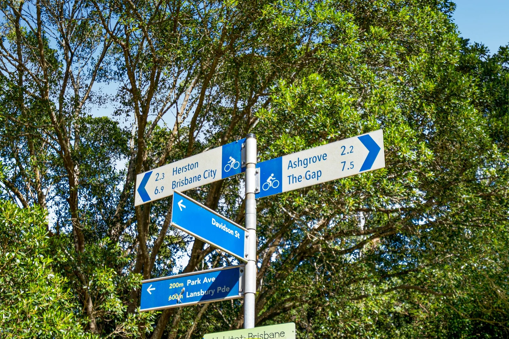 Image 15