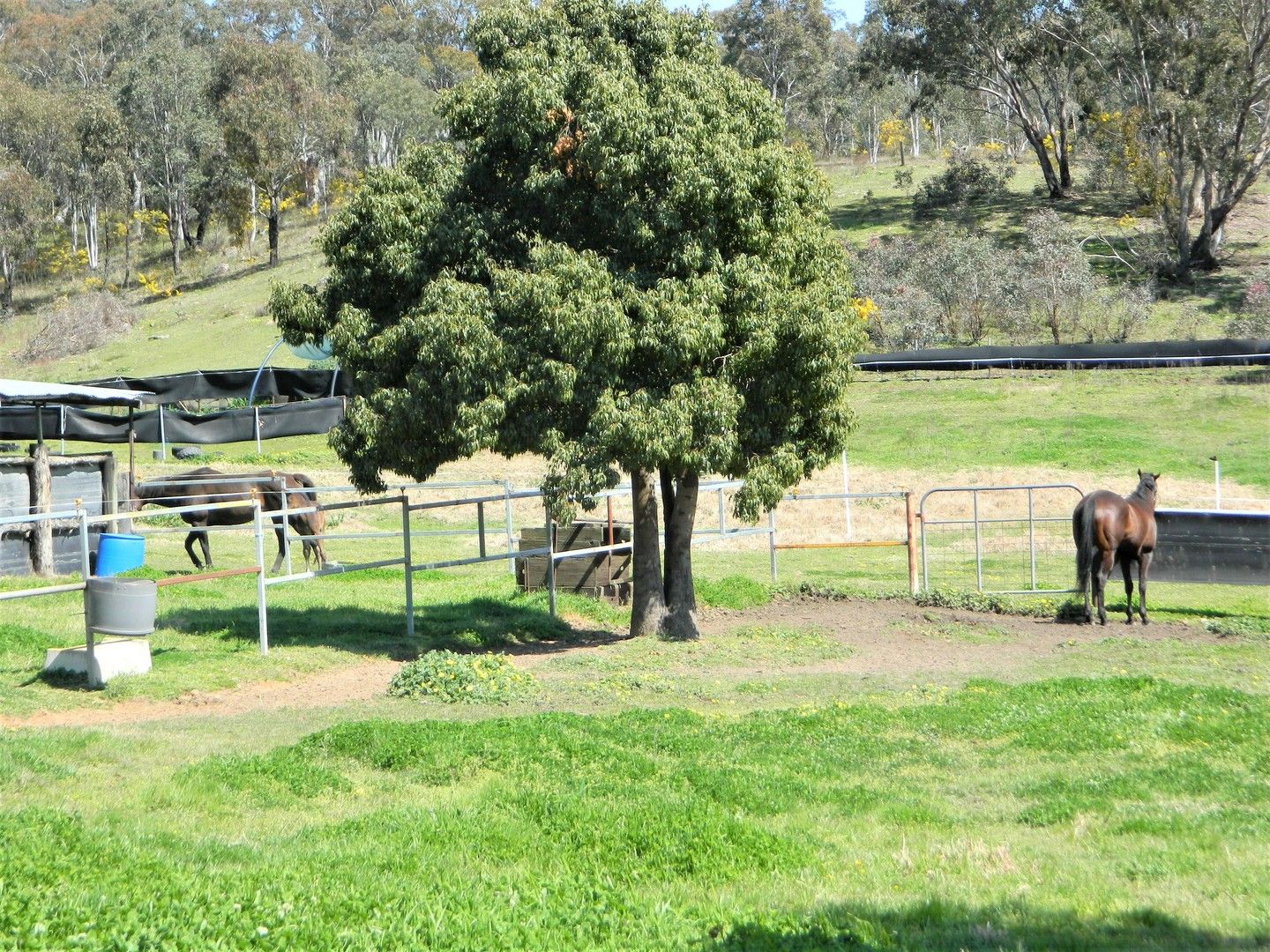 1863 Bylong Valley Way, Kandos NSW 2848 House for Sale Domain