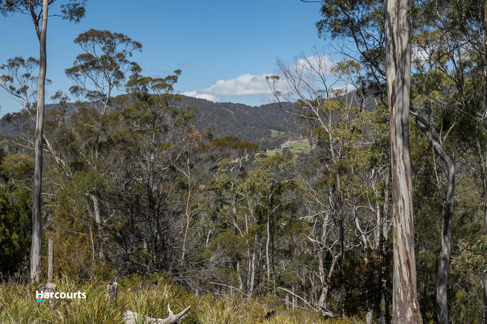Image 14