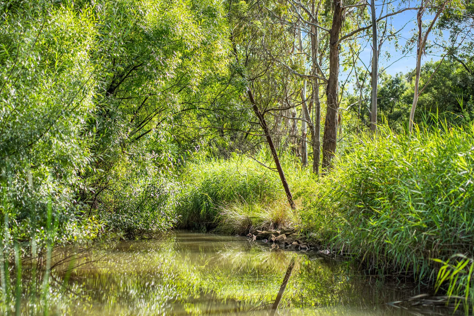 Additional image 14 of 41 Oxleys Hill Road, Bowral NSW 2576