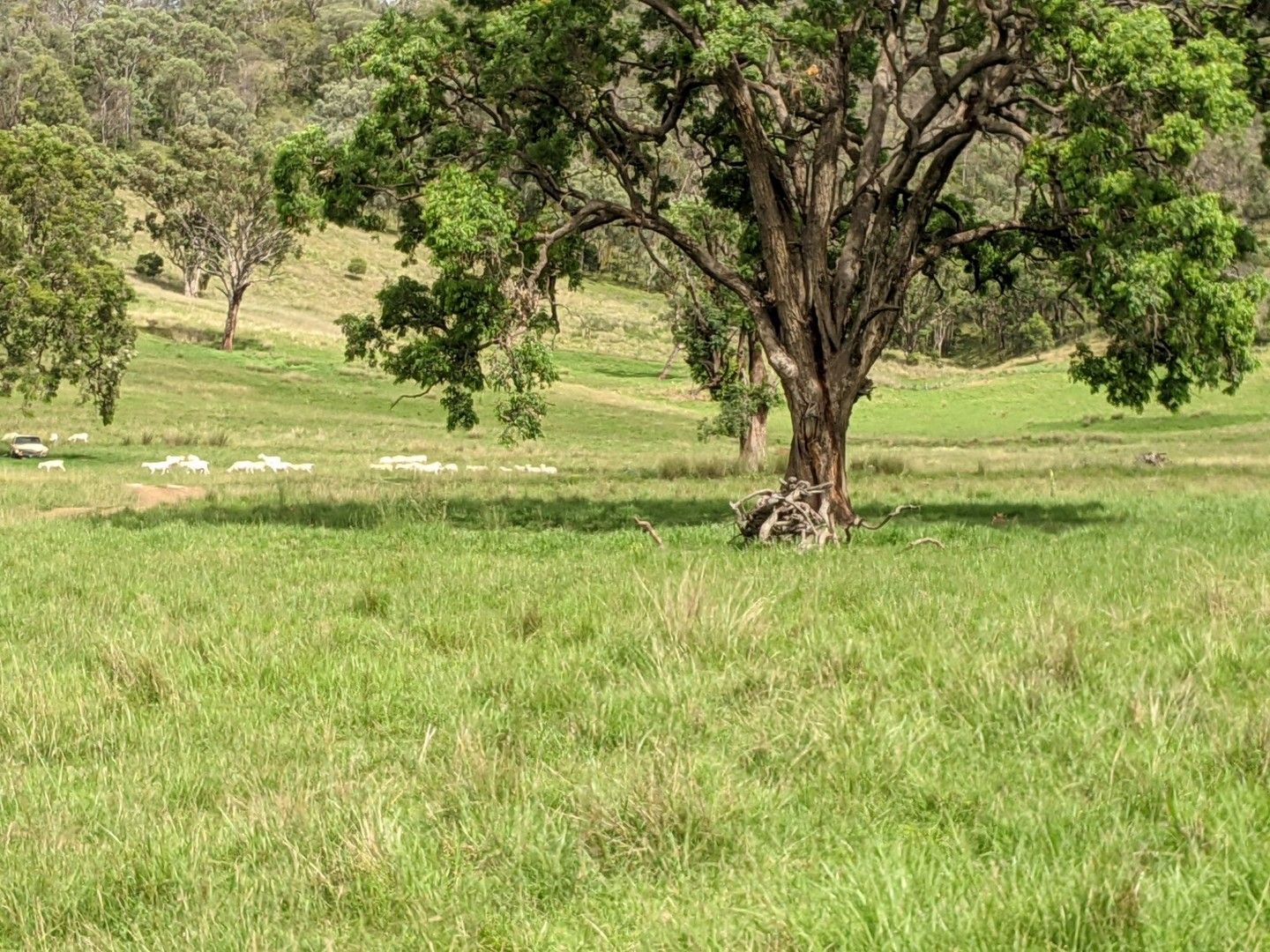 Nundle NSW 2340, Image 0