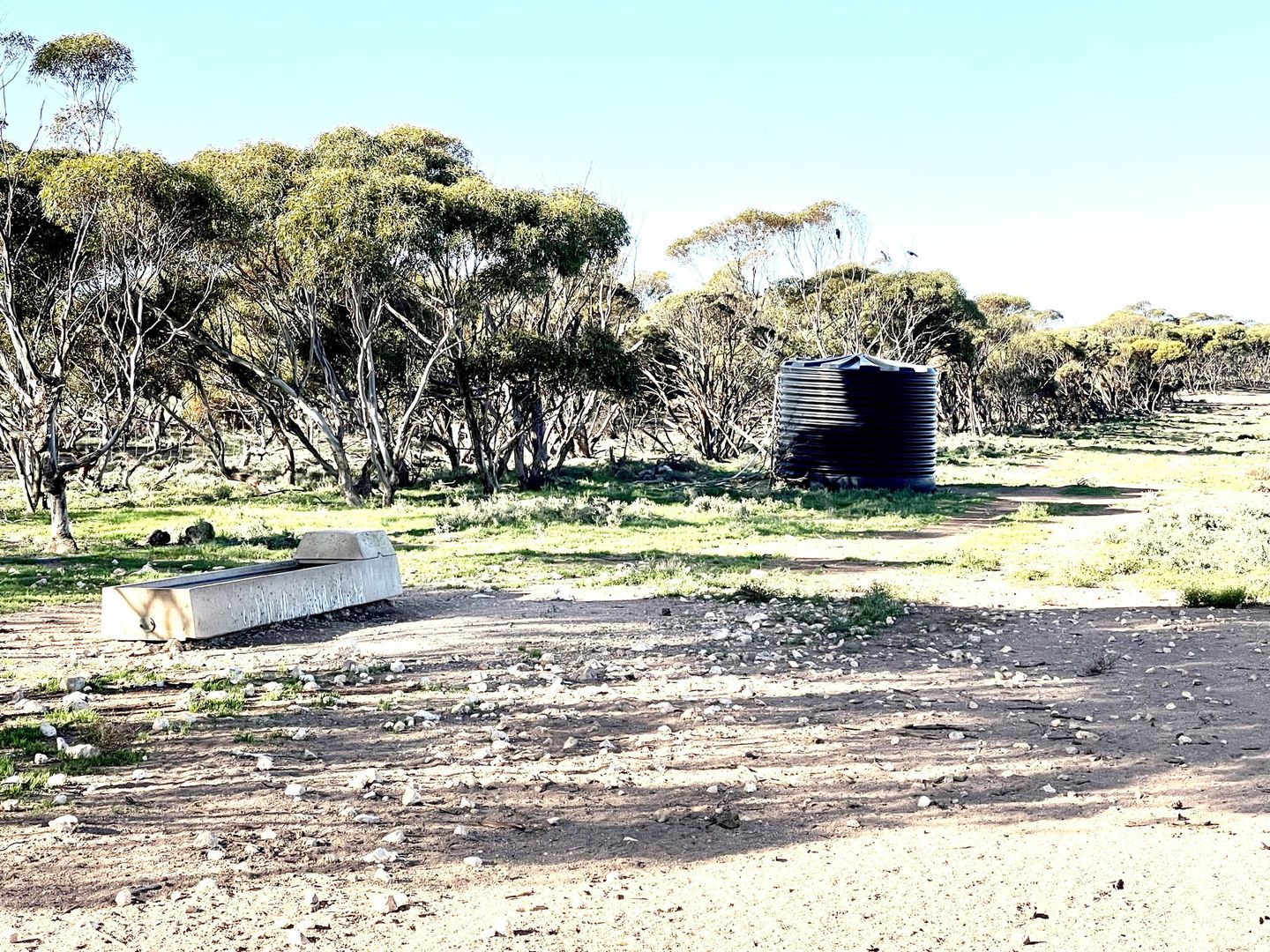 Marchant Road, Mudamuckla SA 5680, Image 1