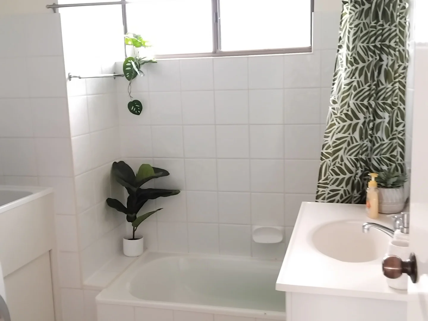 Additional image 5 of 5/14 Beet Street, Coorparoo QLD 4151