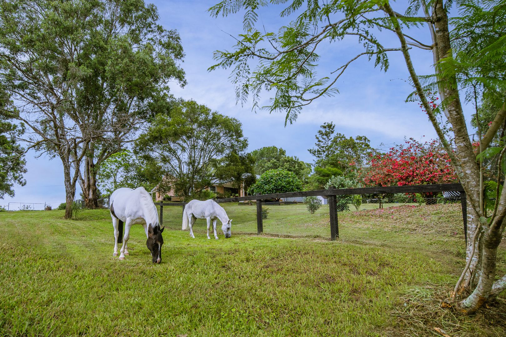 95 Single Ridge Road, The Slopes NSW 2754, Image 1