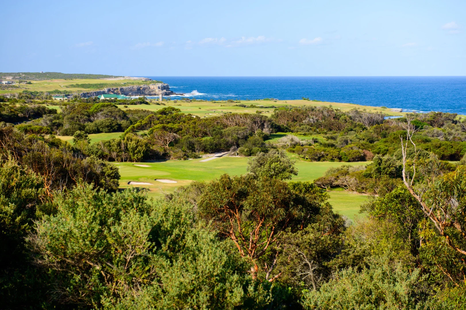 Additional image 8 of 4/79 Willis Street, Kingsford NSW 2032