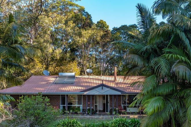 Picture of 207 Mount Burrell Road, MOUNT BURRELL NSW 2484
