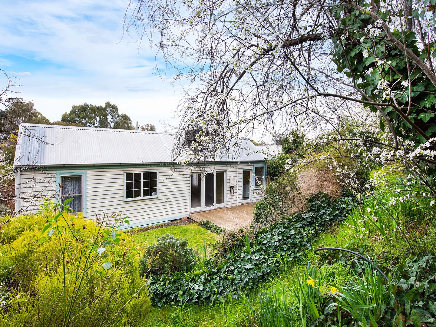 19 Duke Street, Castlemaine VIC 3450, Image 1