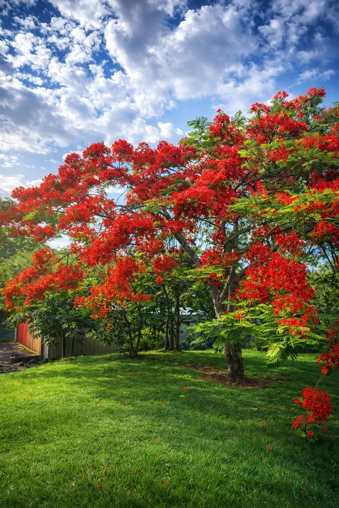 Additional image 7 of 82-86 Kooralbyn Drive, Kooralbyn QLD 4285