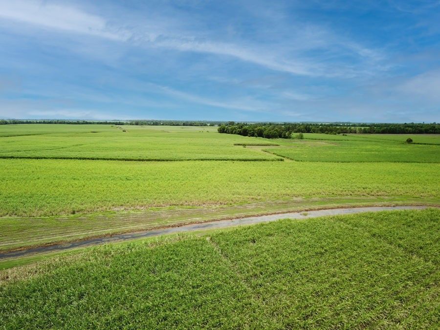 Lot 3 Davidson Road, Tully QLD 4854, Image 2