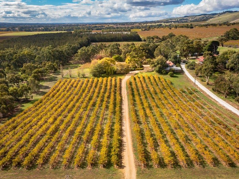 127 Steingarten Road, Rowland Flat SA 5352 Viticulture Property for Sale