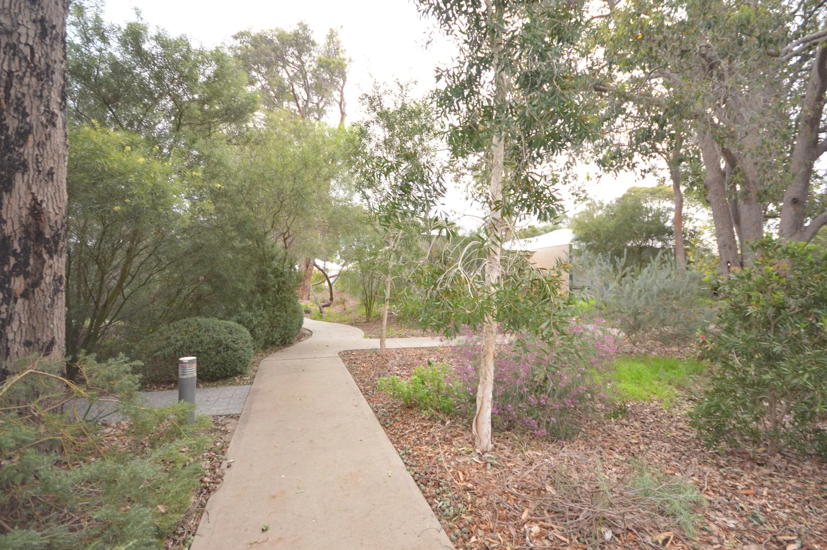 Image 15