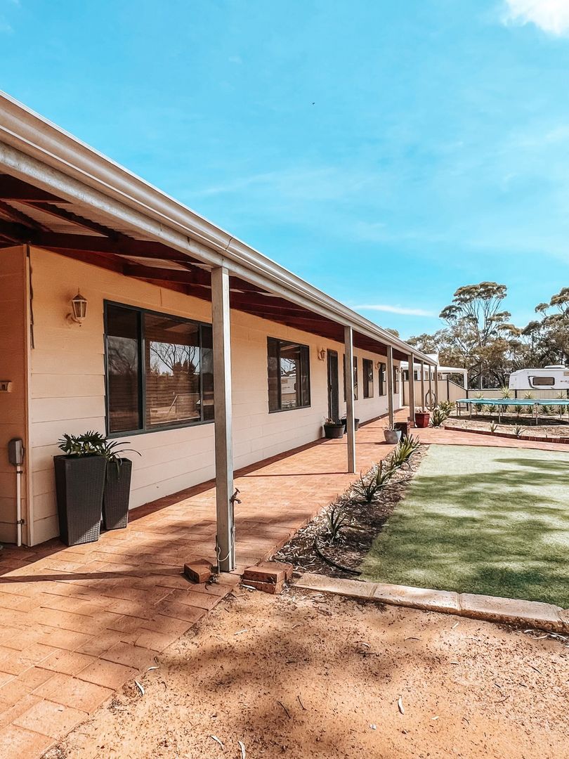 17 Coronation Street, Cunderdin WA 6407 Domain