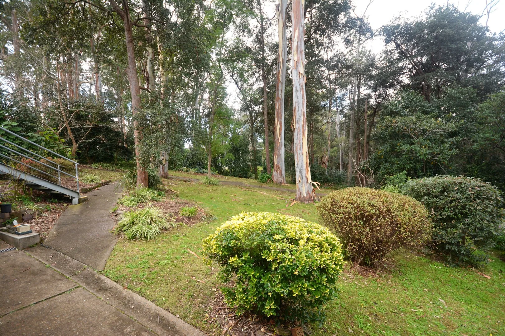 Additional image 8 of 3/4 David Road, Springwood NSW 2777