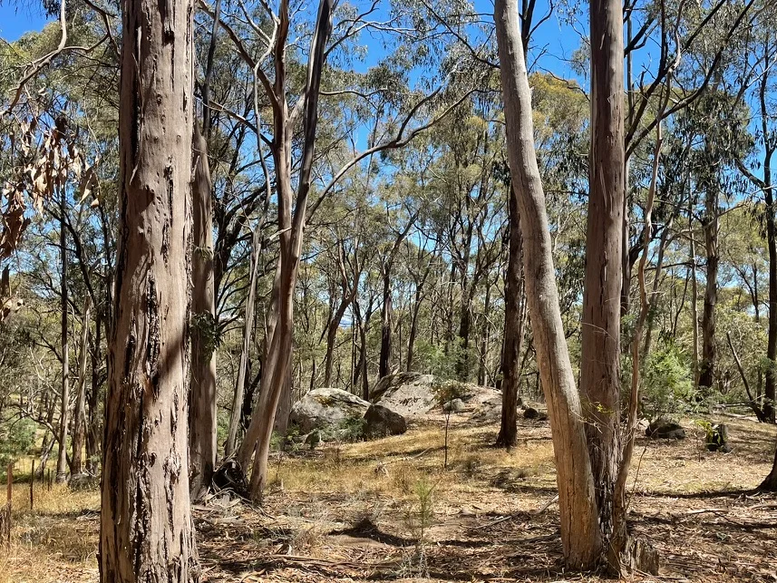 Image 15