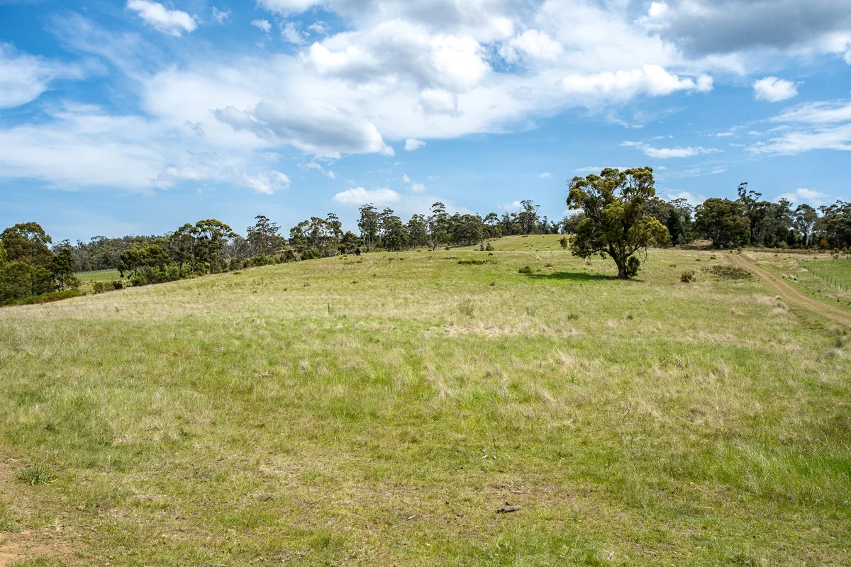 Image 25