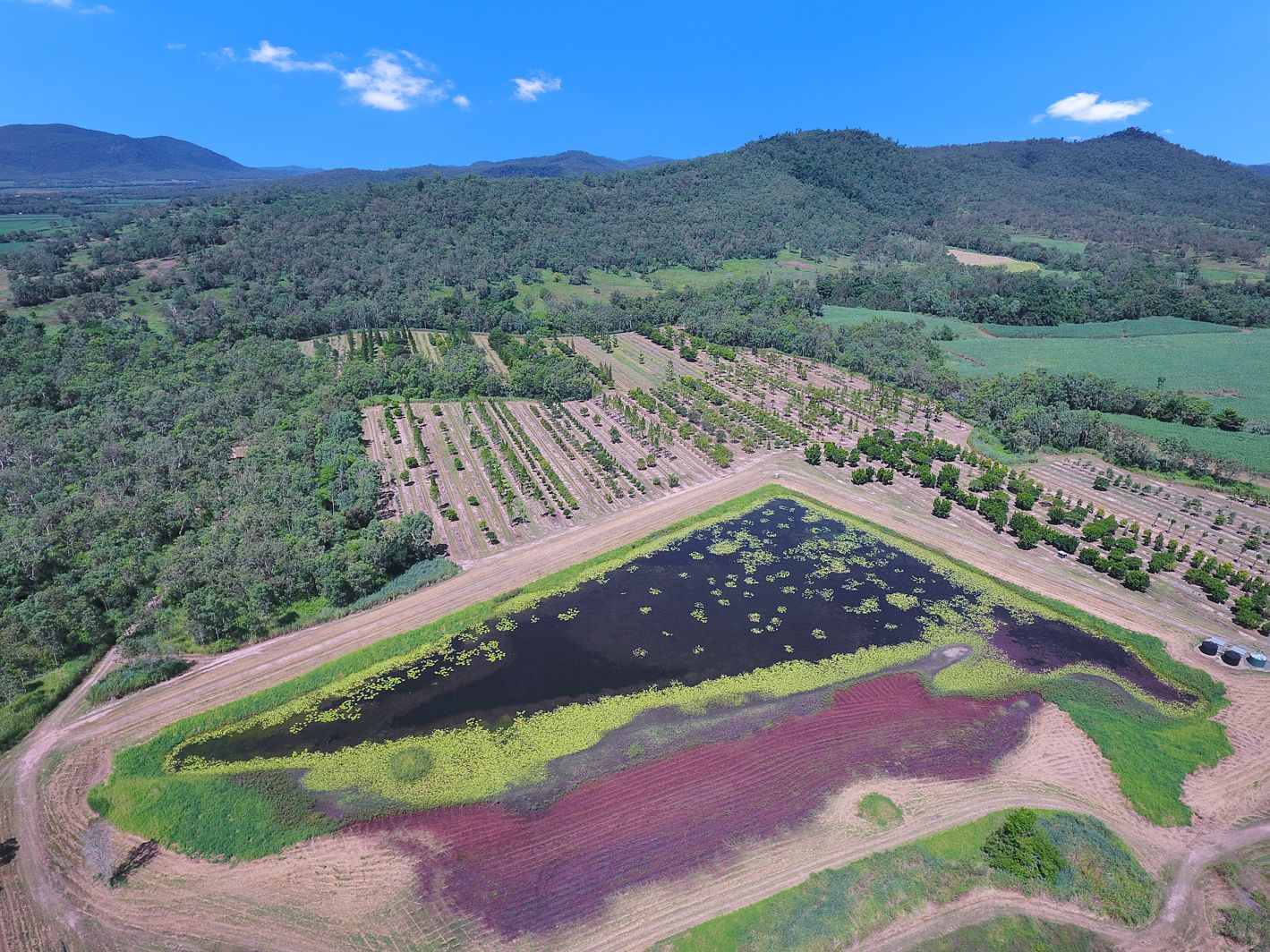 1603 GeebergaButhurra Road, Mount Ossa QLD 4741 House for Sale