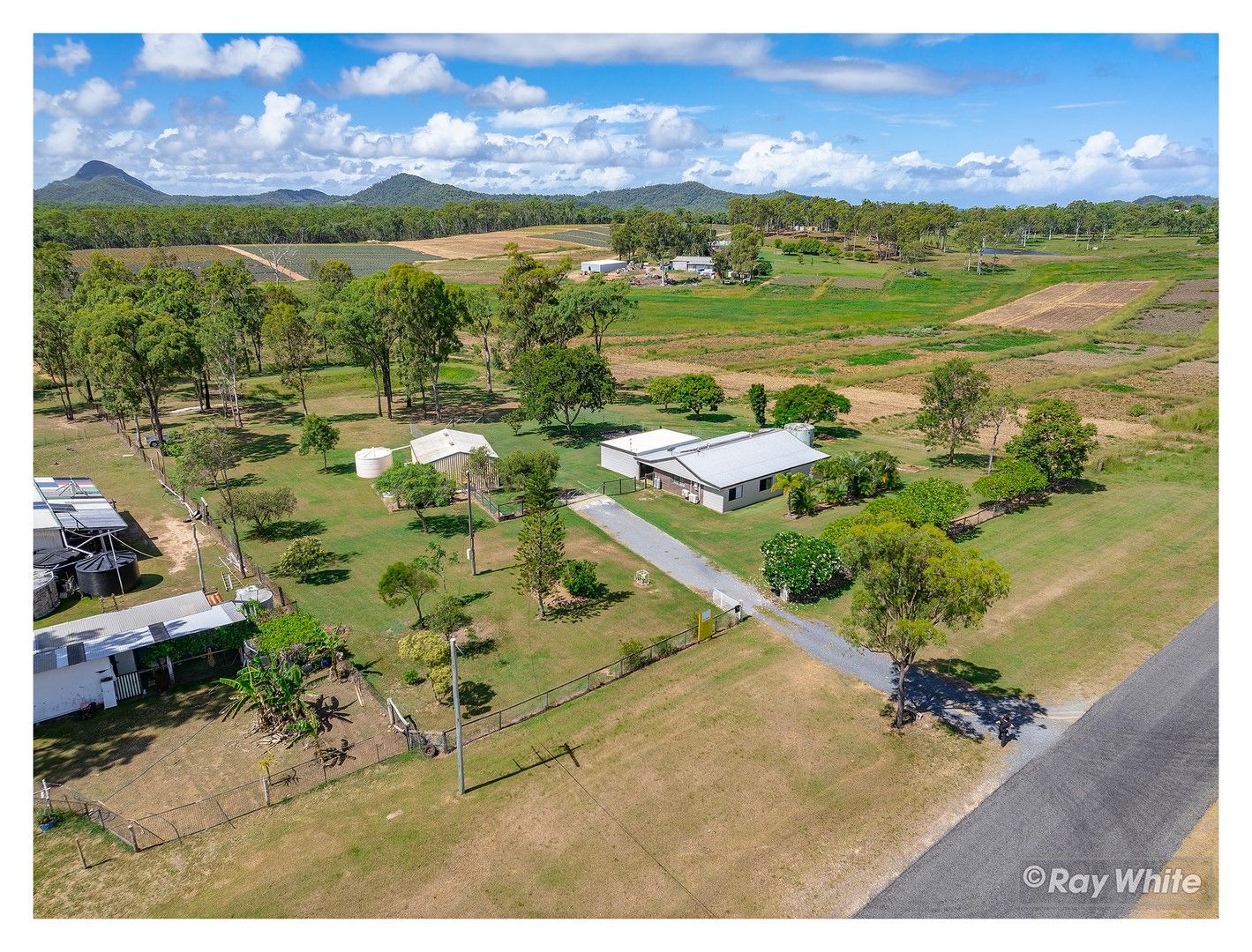 72 Botos Road, Cawarral QLD 4702, Image 0