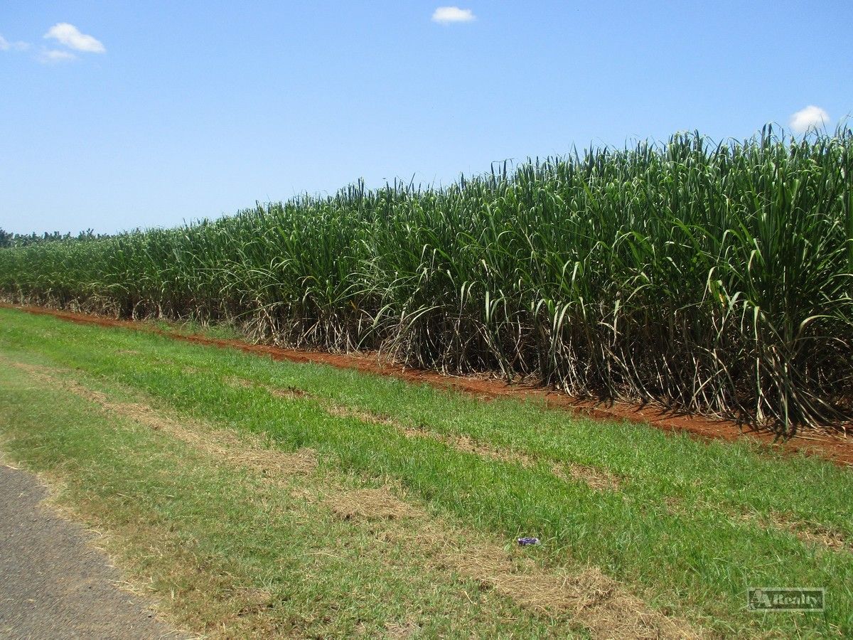 Innisfail QLD 4860 Specialist Farm for Sale 980,000 Domain