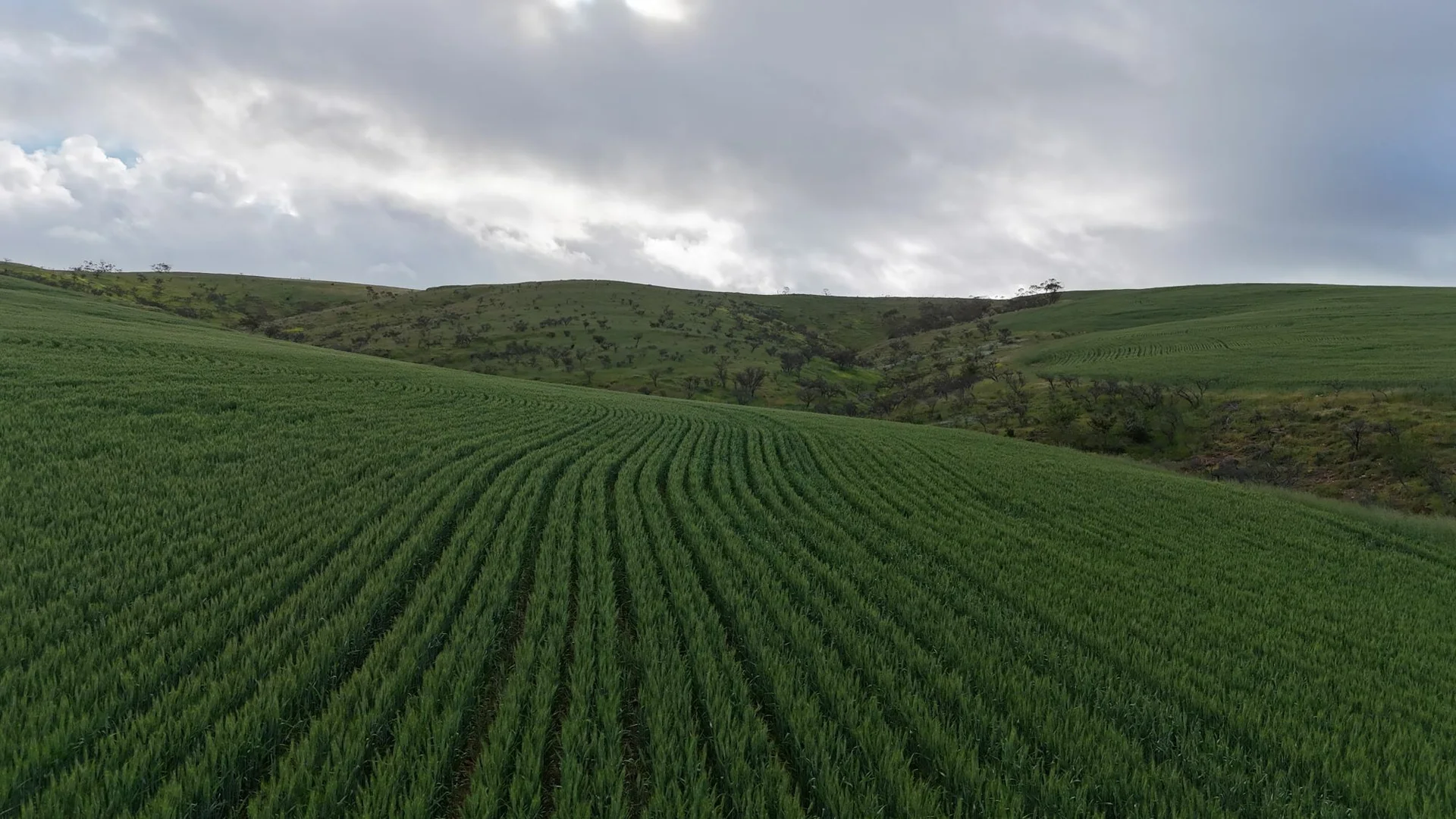 Additional image 19 of 'Crystal Valley' Talbots Road, Crystal Brook SA 5523