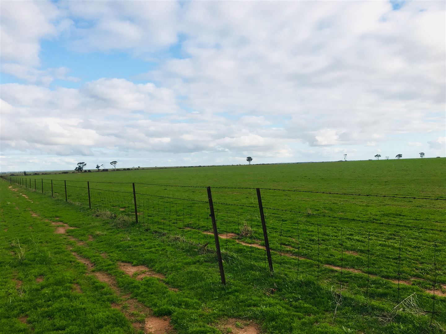 Crnr Bencubbin-Gabbin Rd & Hiscox Rd, Gabbin WA 6476, Image 1