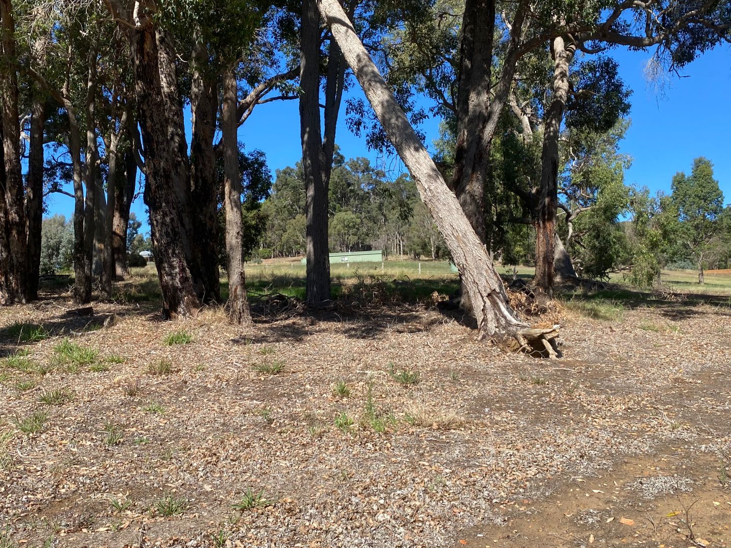 Lot 36, 6 Winesap View, Kangaroo Gully WA 6255, Image 2