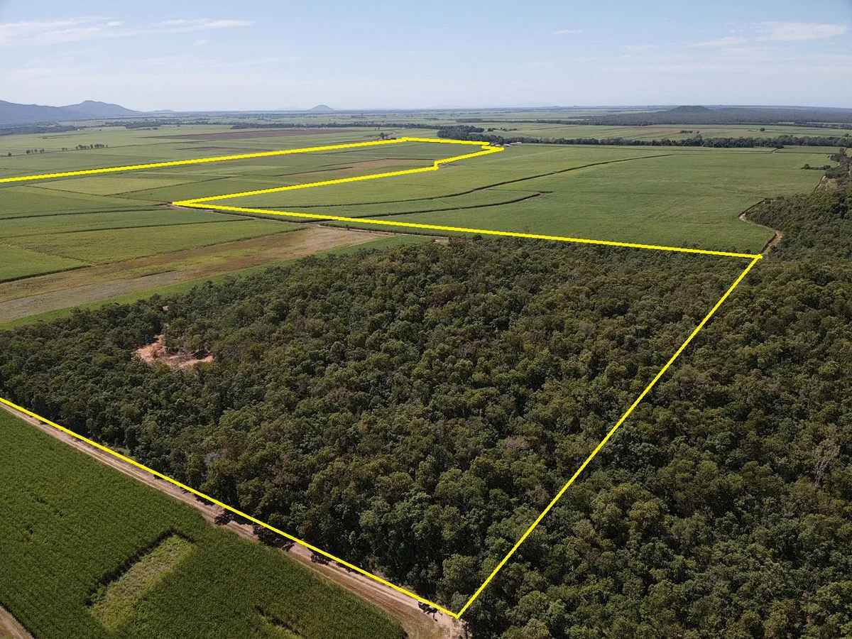 Additional image 3 of Lot 101 & 3 Lannercost Extension Road, Lannercost QLD 4850
