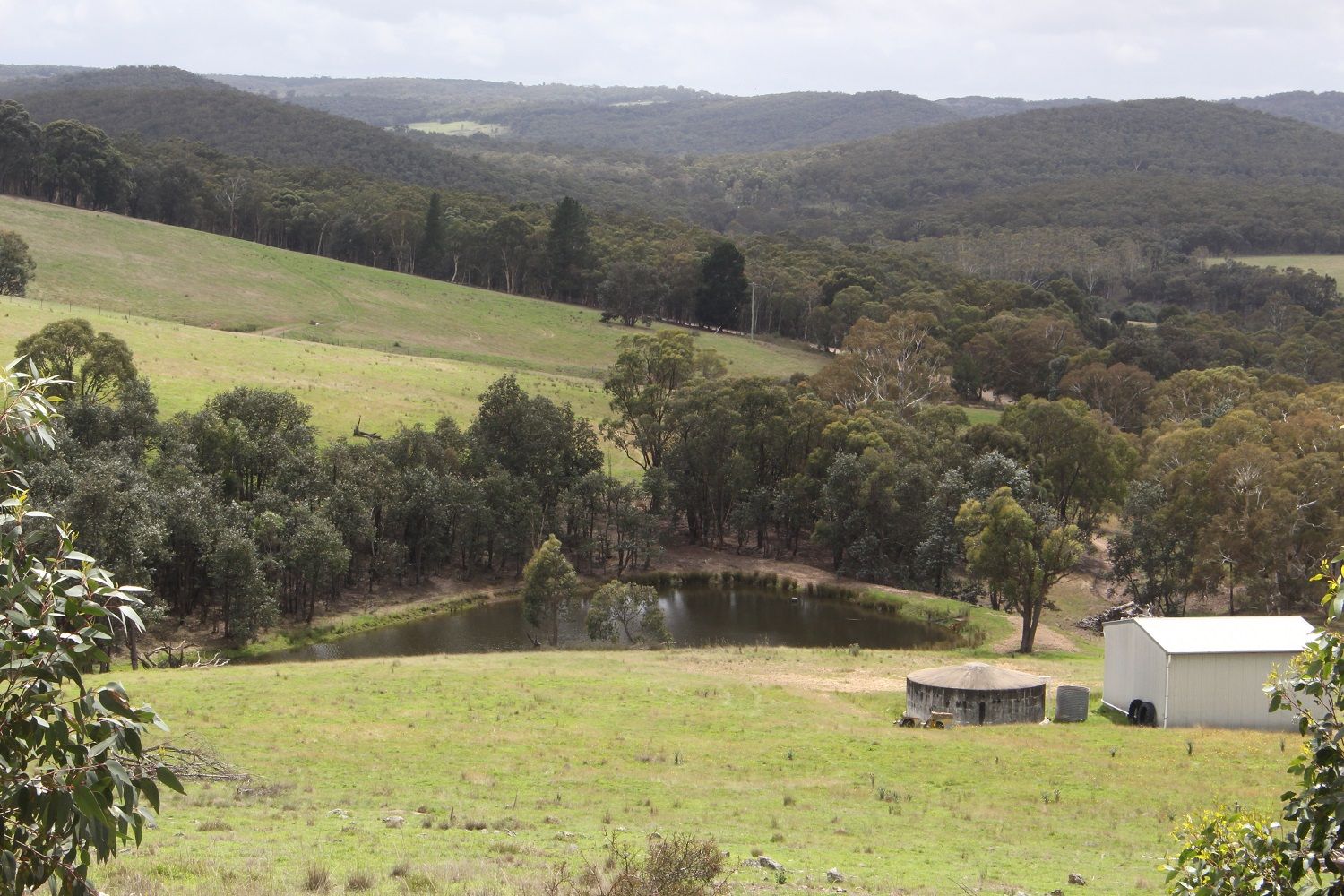 Lot 8 Bulls Pit Road, Brayton NSW 2579, Image 1