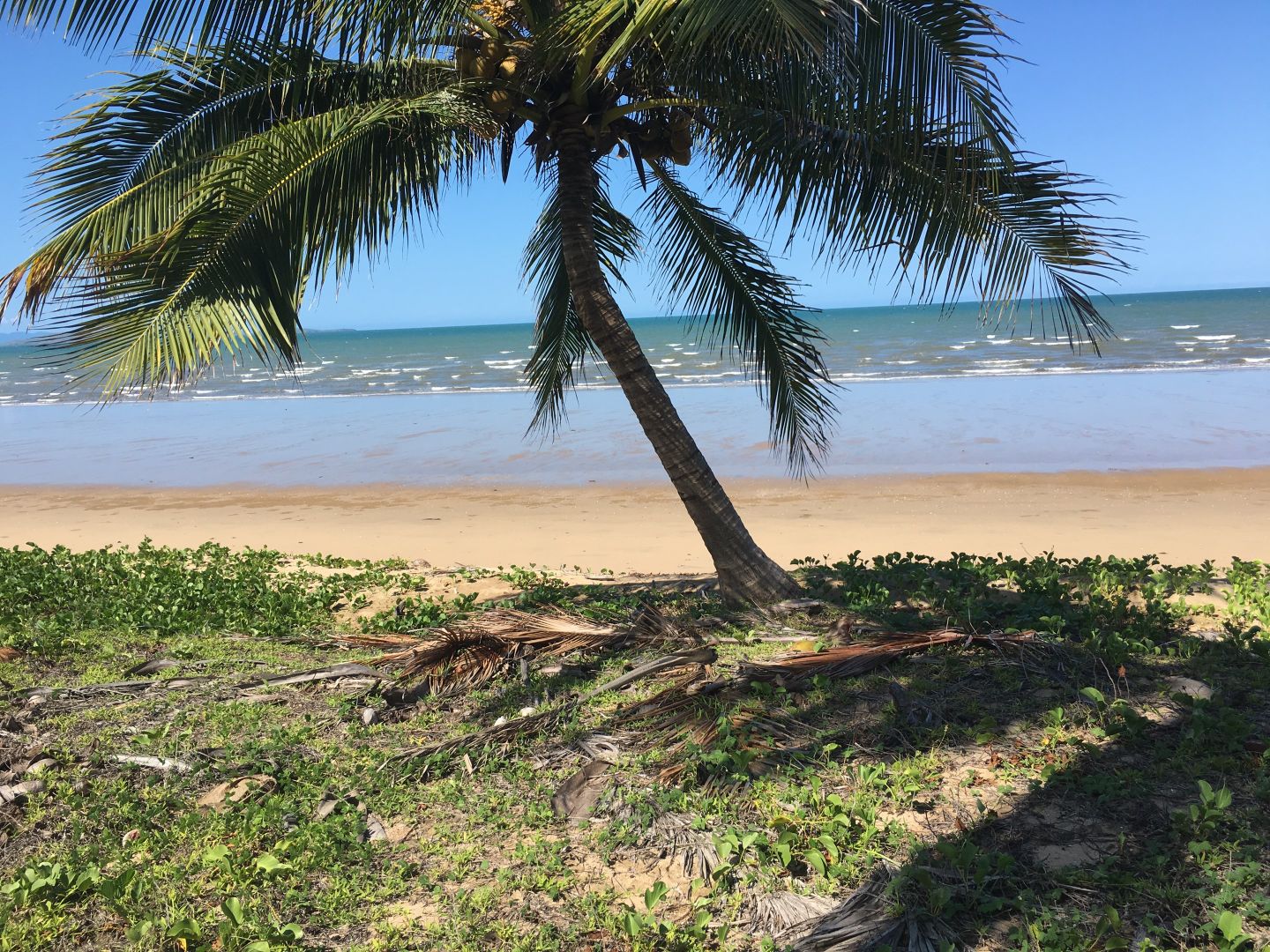 30-32 REEF STREET, Saunders Beach QLD 4818, Image 1