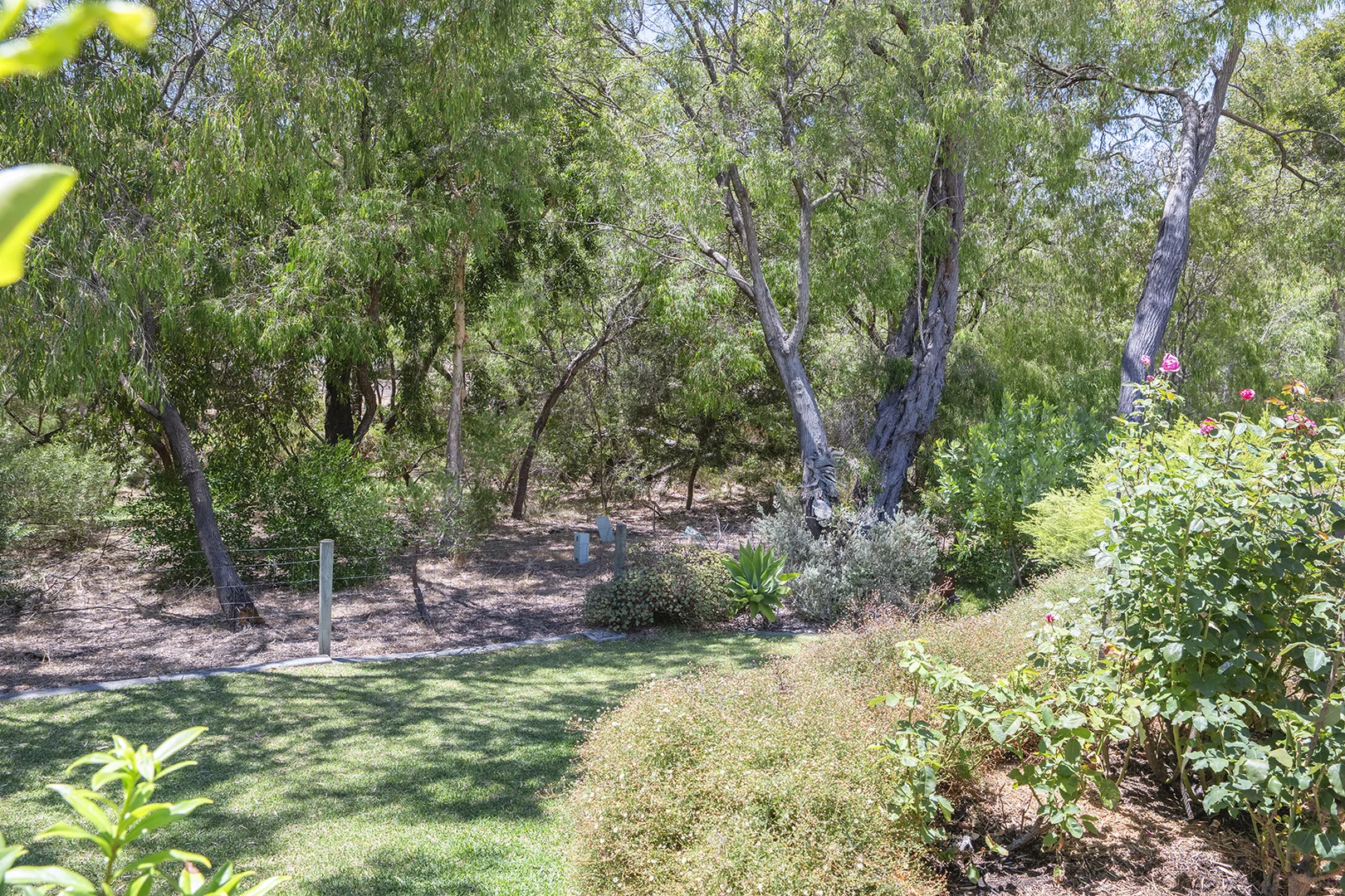Image 23