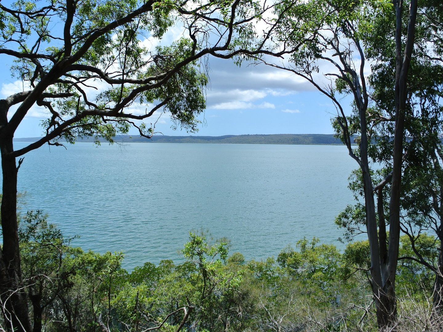 3 Pacific Street, Lamb Island QLD 4184 Domain