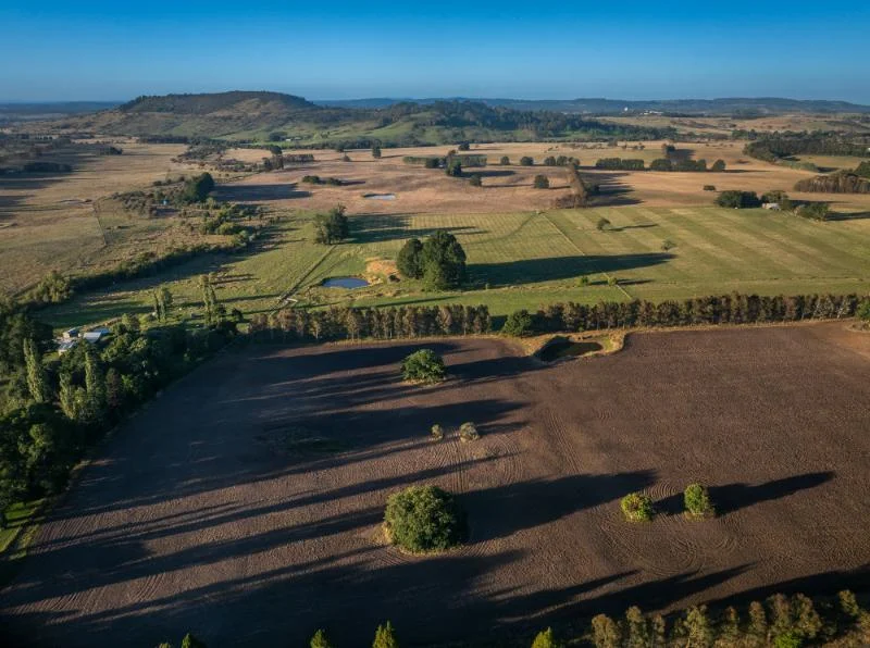 Additional image 5 of 7300 Illawarra Highway, Sutton Forest NSW 2577