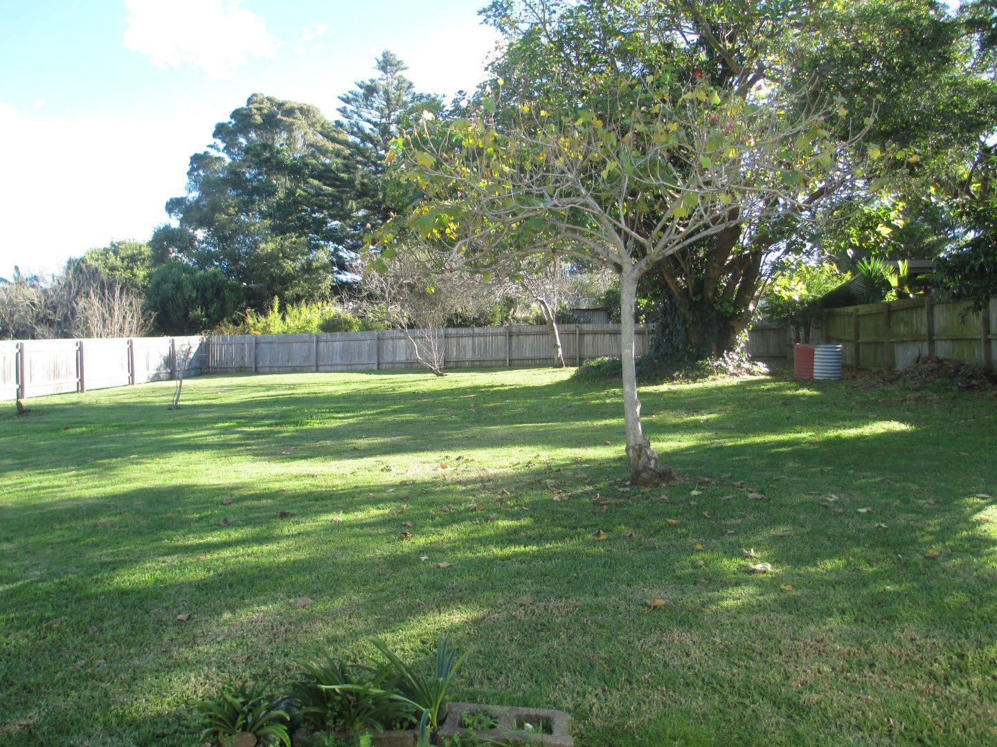 85 Hawdon Street, Moruya NSW 2537, Image 2