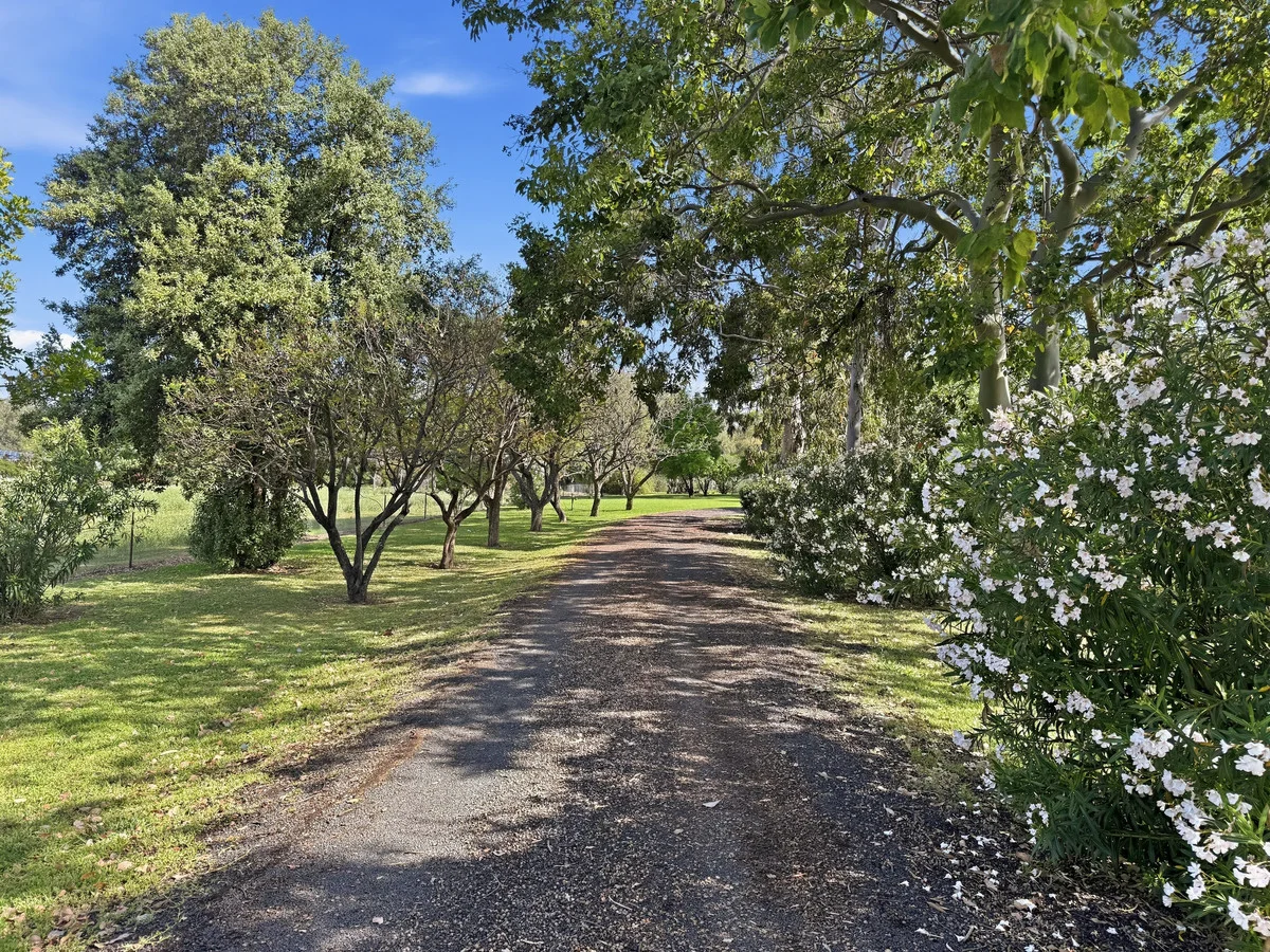 Additional image 19 of 80 Gwydirfield Road, Moree NSW 2400
