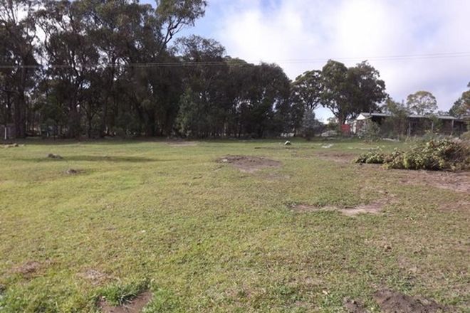 Picture of Lot 333 Torrington Road, TORRINGTON NSW 2371