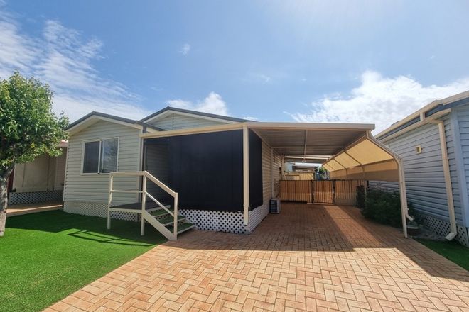 Picture of 10/279 Hopetoun-Ravensthorpe Road, HOPETOUN WA 6348