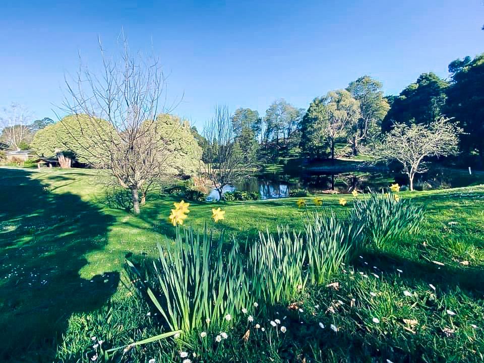 154 Ferndale Road, Ferndale VIC 3821, Image 2