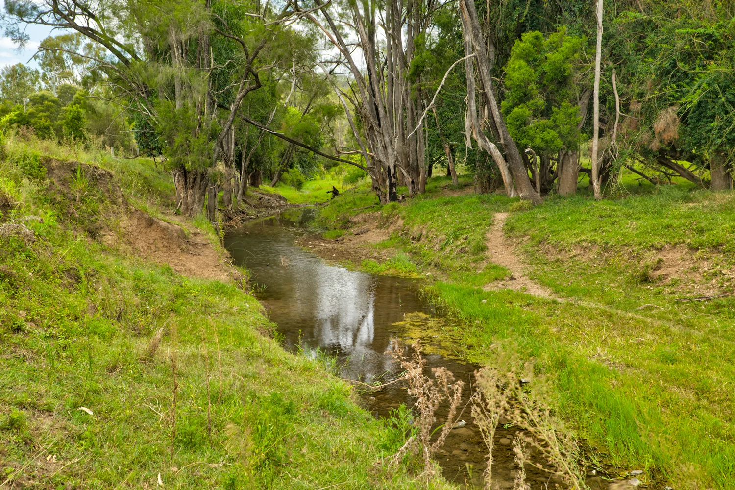 Additional image 23 of 1706 ESK CROWS NEST RD, Biarra QLD 4313
