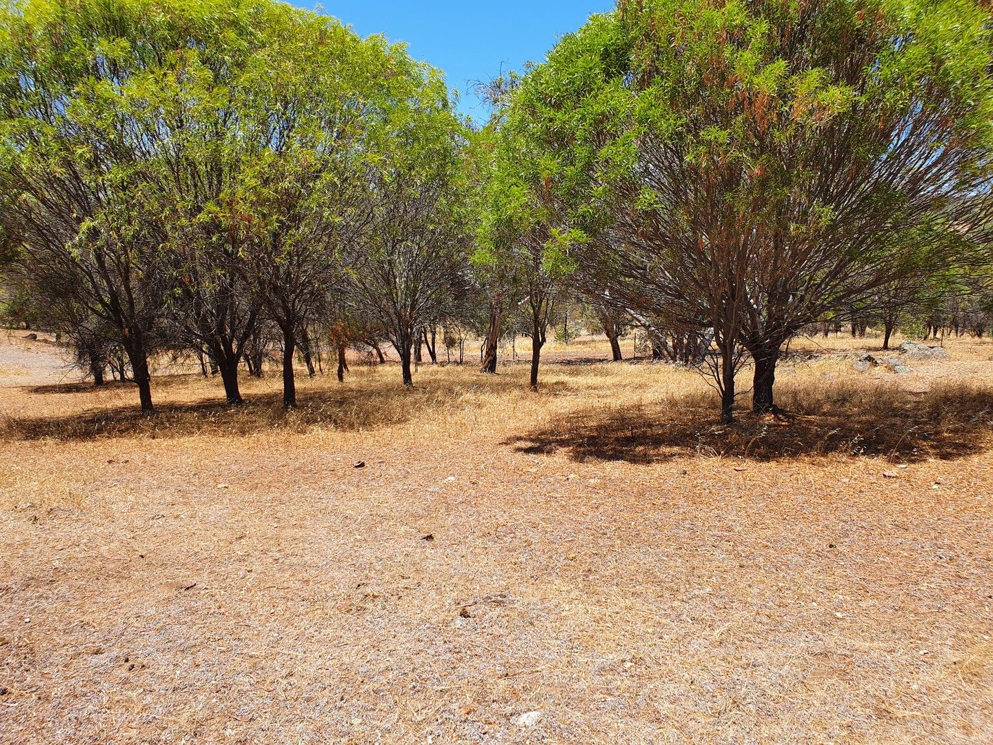 Lot 126 Hoggarth Road, Clackline WA 6564, Image 0