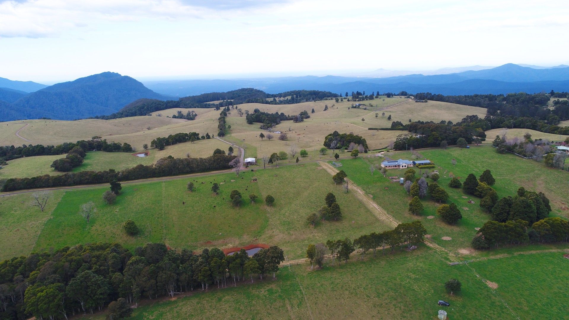 Dorrigo Mountain NSW 2453, Image 0