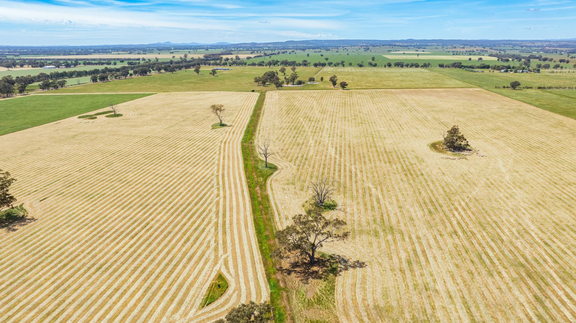 Additional image 16 of Lot 1 Boorhaman-Springhurst Road, Springhurst VIC 3682