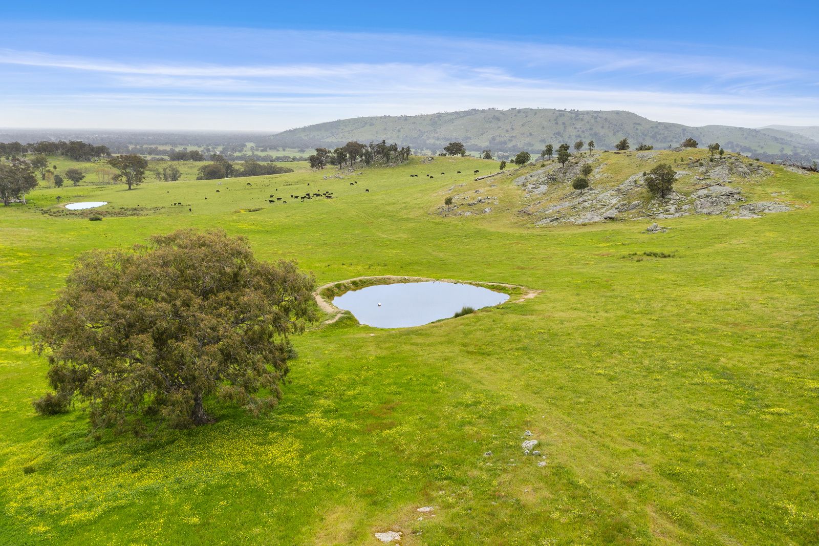 416 Seven Creeks Estate Road, Euroa VIC 3666, Image 1