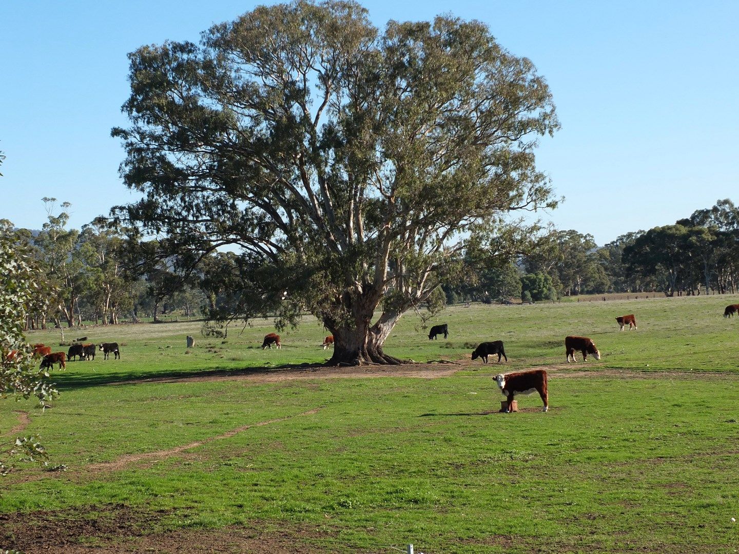 91 Marland Road, Barkly VIC 3384, Image 0