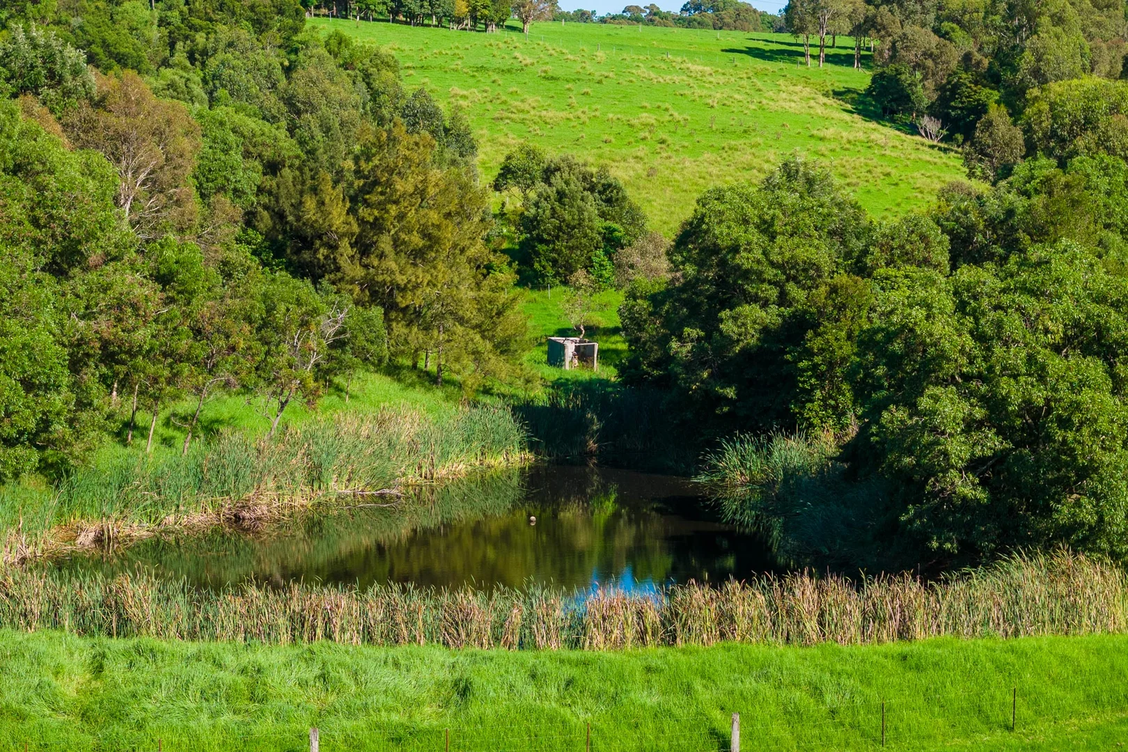 Additional image 55 of 259 Barrabooka Road, Tanja NSW 2550