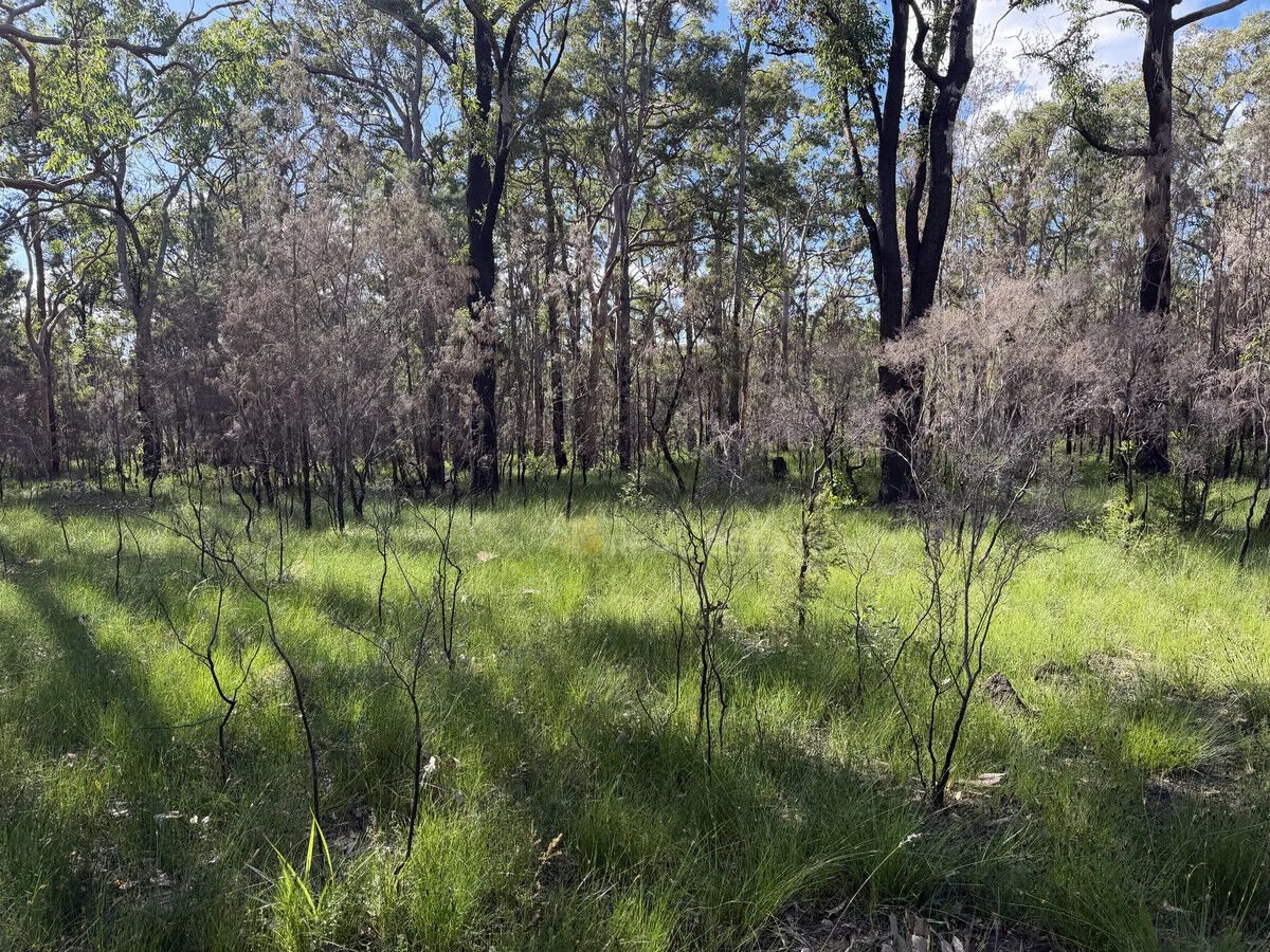 Image 10
