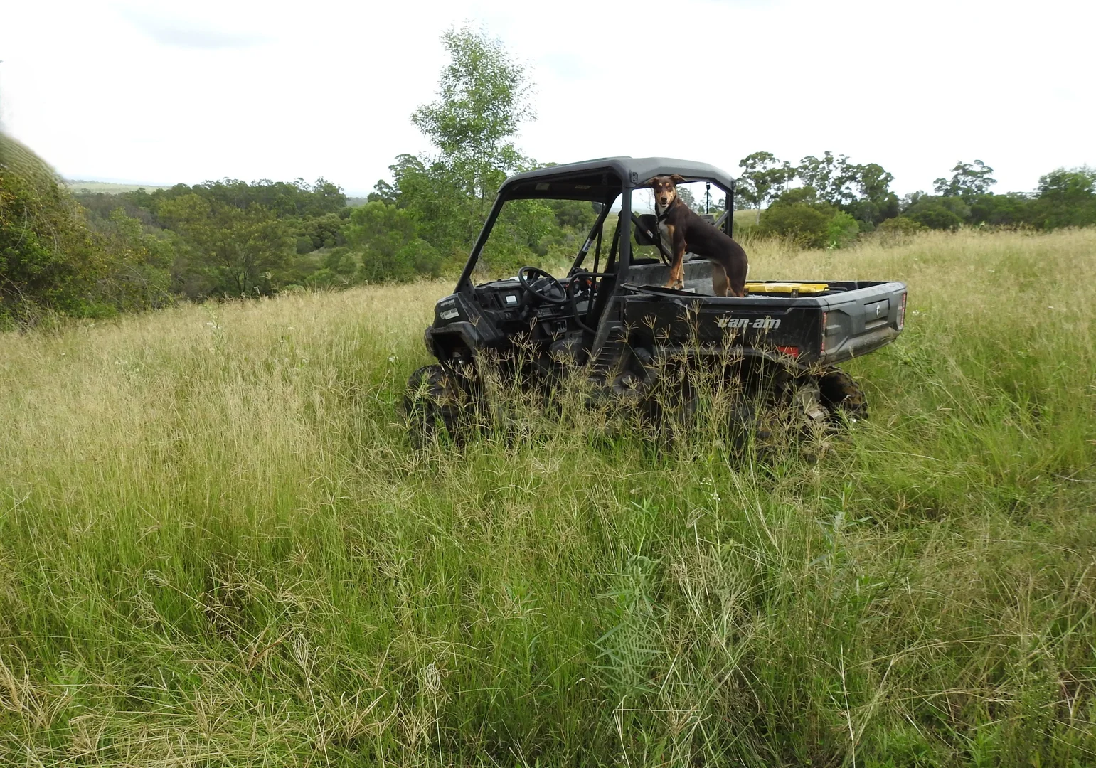 Additional image 5 of Lot 119 Ellangowan Myrtle Creek Road, Ellangowan NSW 2470