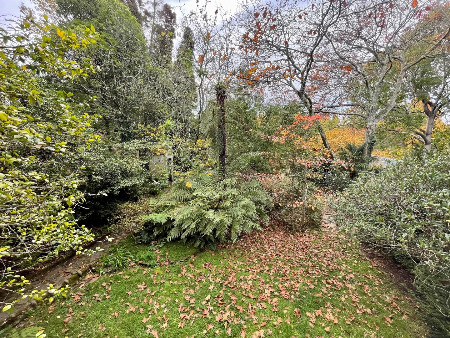 Additional image 11 of 71 Fletcher Street, Wentworth Falls NSW 2782