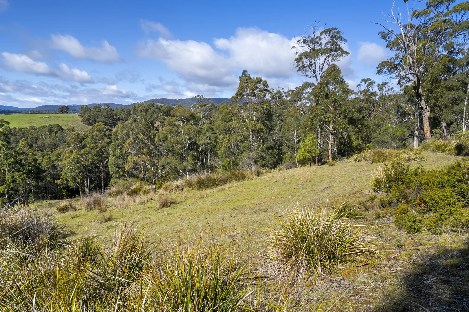 Image 13