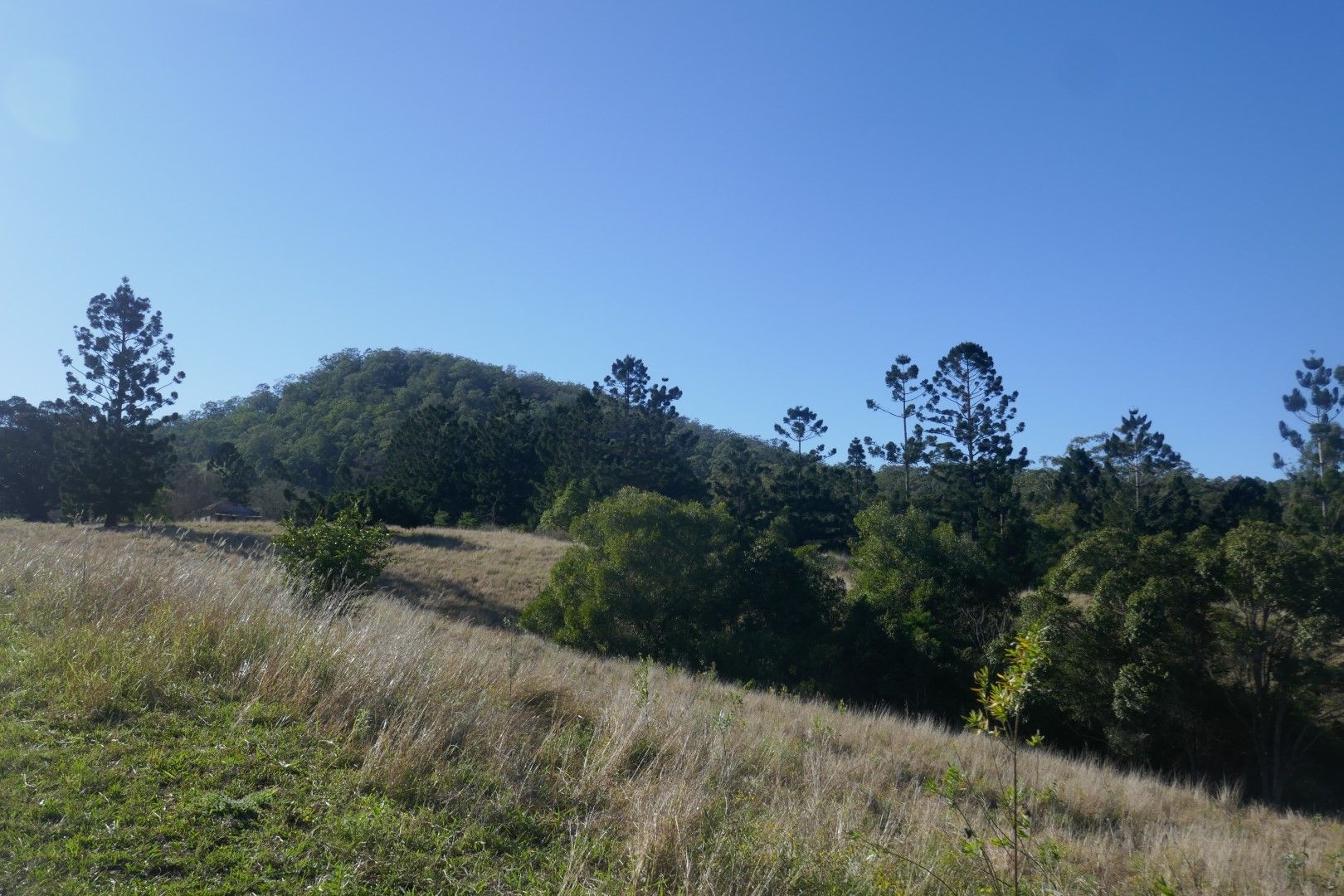 120A Chelmsford Rd, Rock Valley NSW 2480, Image 2