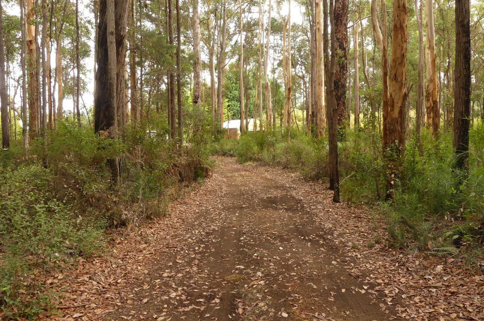 3164 Wheatley Coast Road (Crowea), Northcliffe WA 6262, Image 0